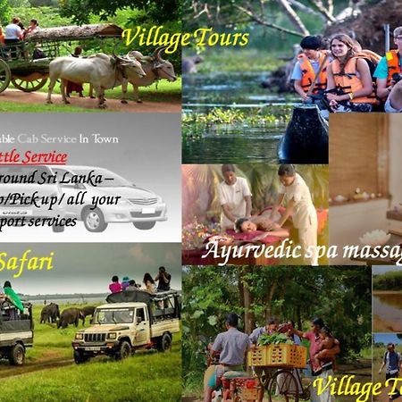 Nice To Meet Home Stay Habarana Esterno foto