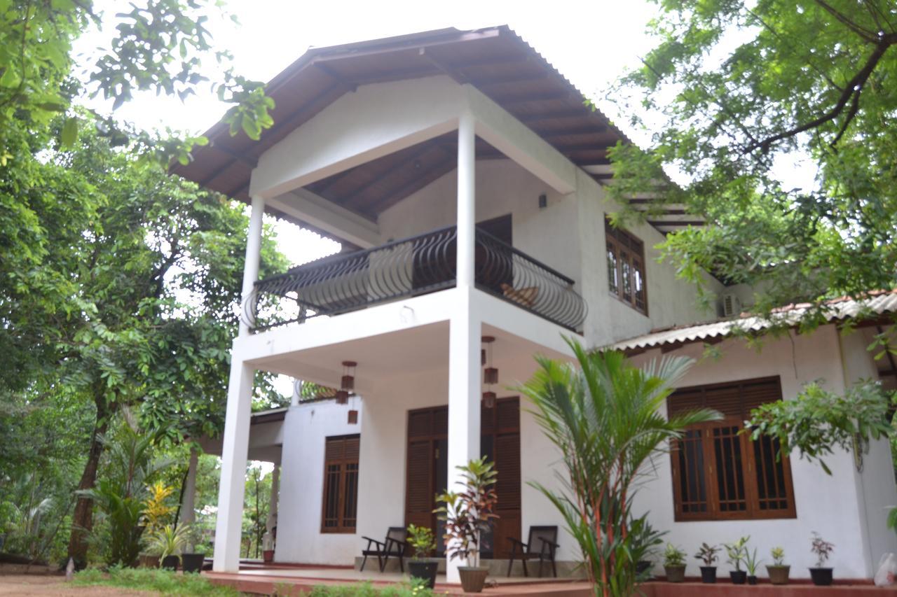 Nice To Meet Home Stay Habarana Esterno foto