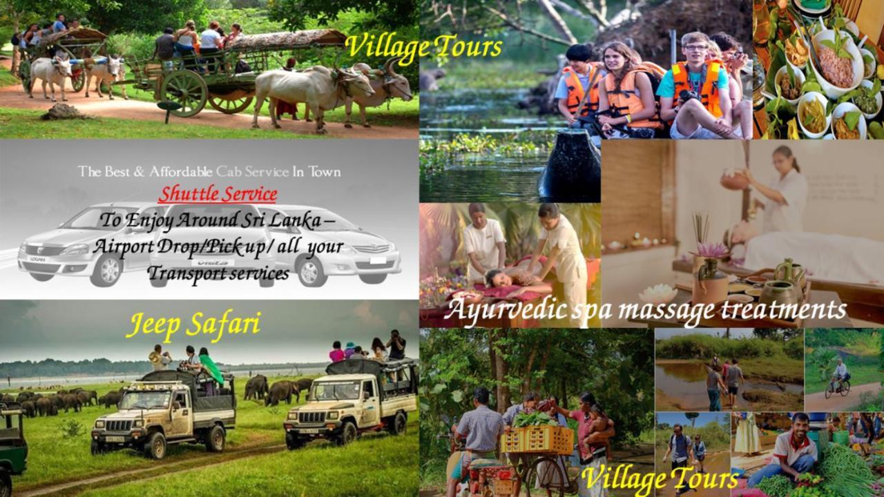 Nice To Meet Home Stay Habarana Esterno foto